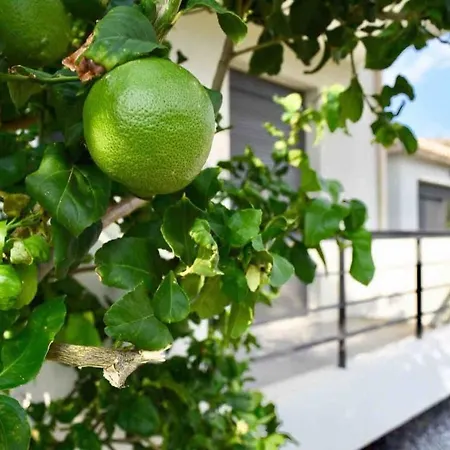 아파트 Contemporary, Spacious Boutique House *