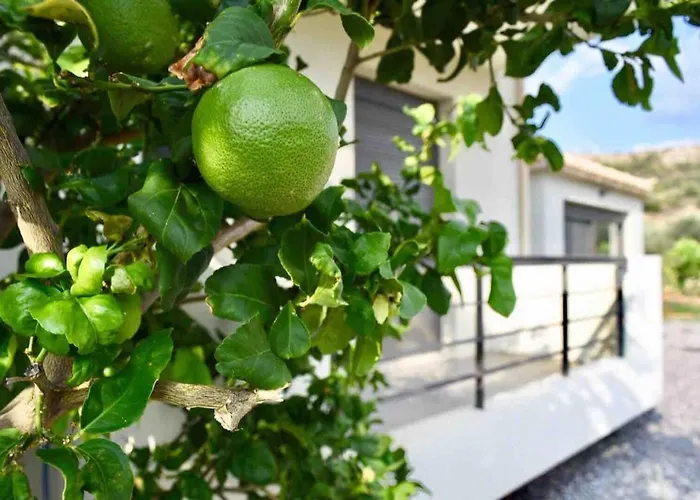 דירה Contemporary, Spacious Boutique House *