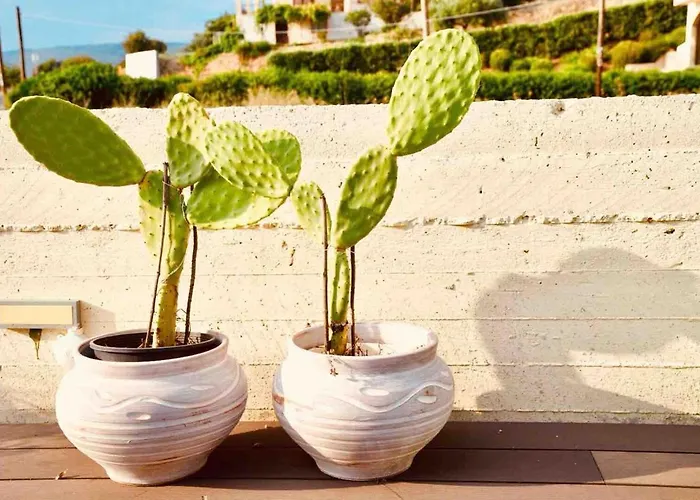 דירה Contemporary, Spacious Boutique House ארכאנגלוס